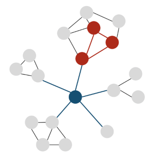 Illustration des triades et hubs du connectome.