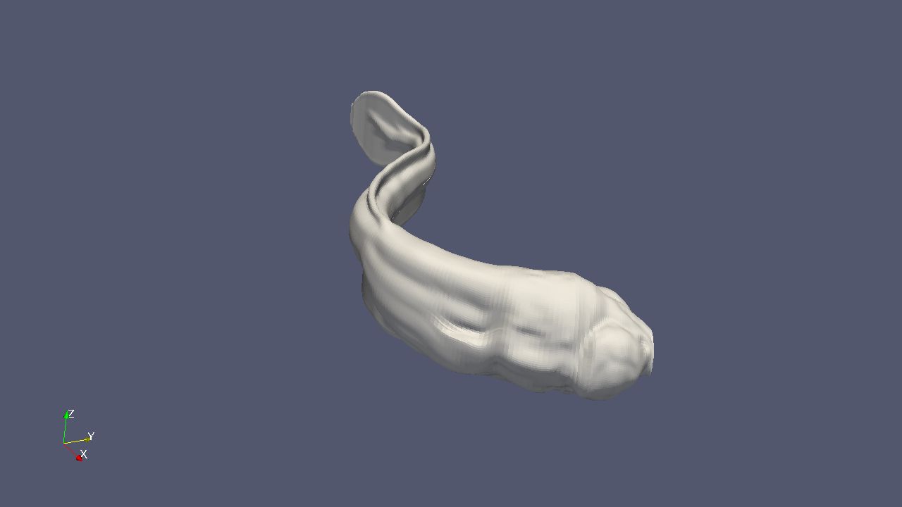 Reconstruction 3D d'une larve de poissson zèbre