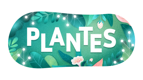  Plantes