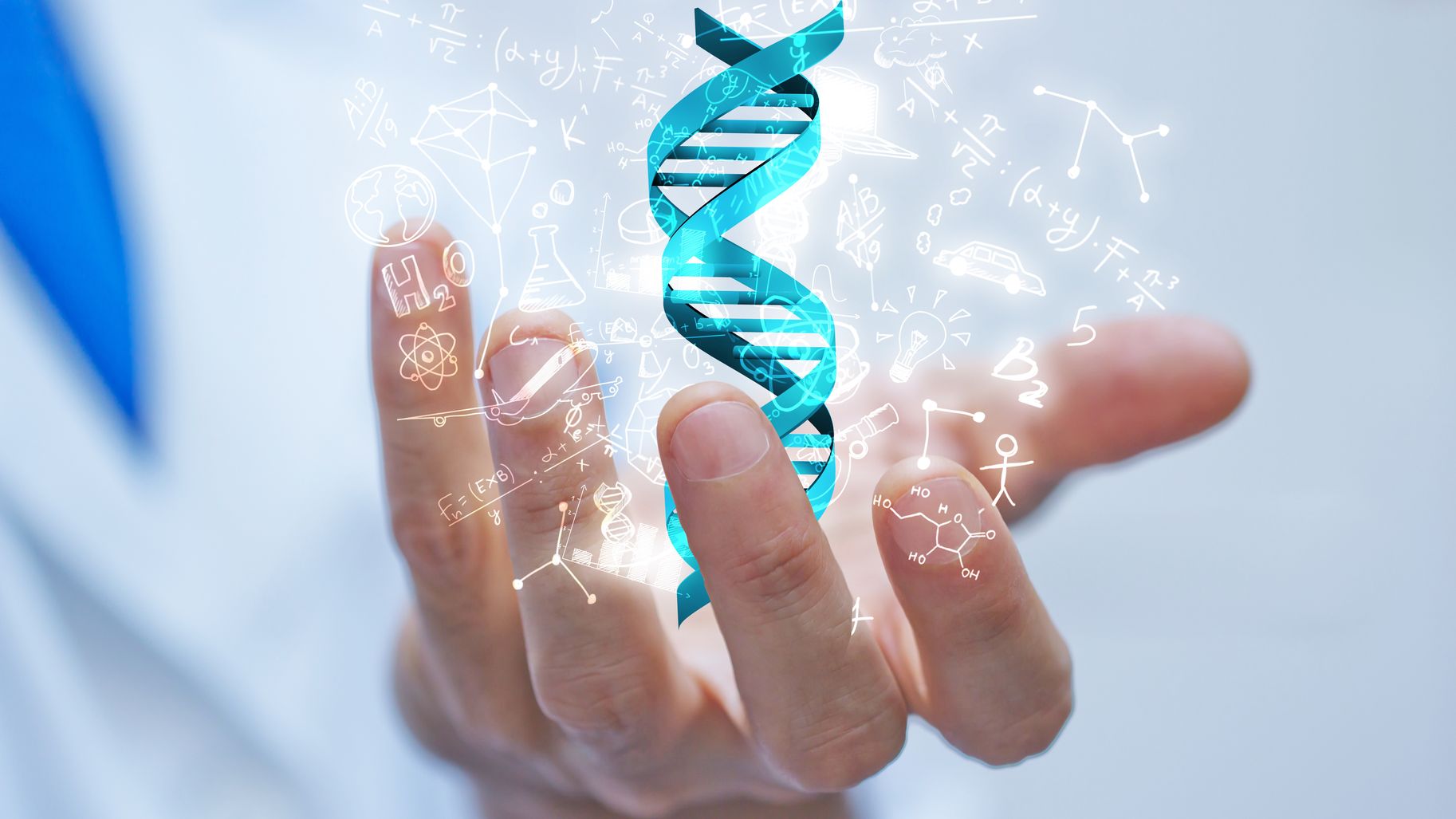 main tenant un segment ADN