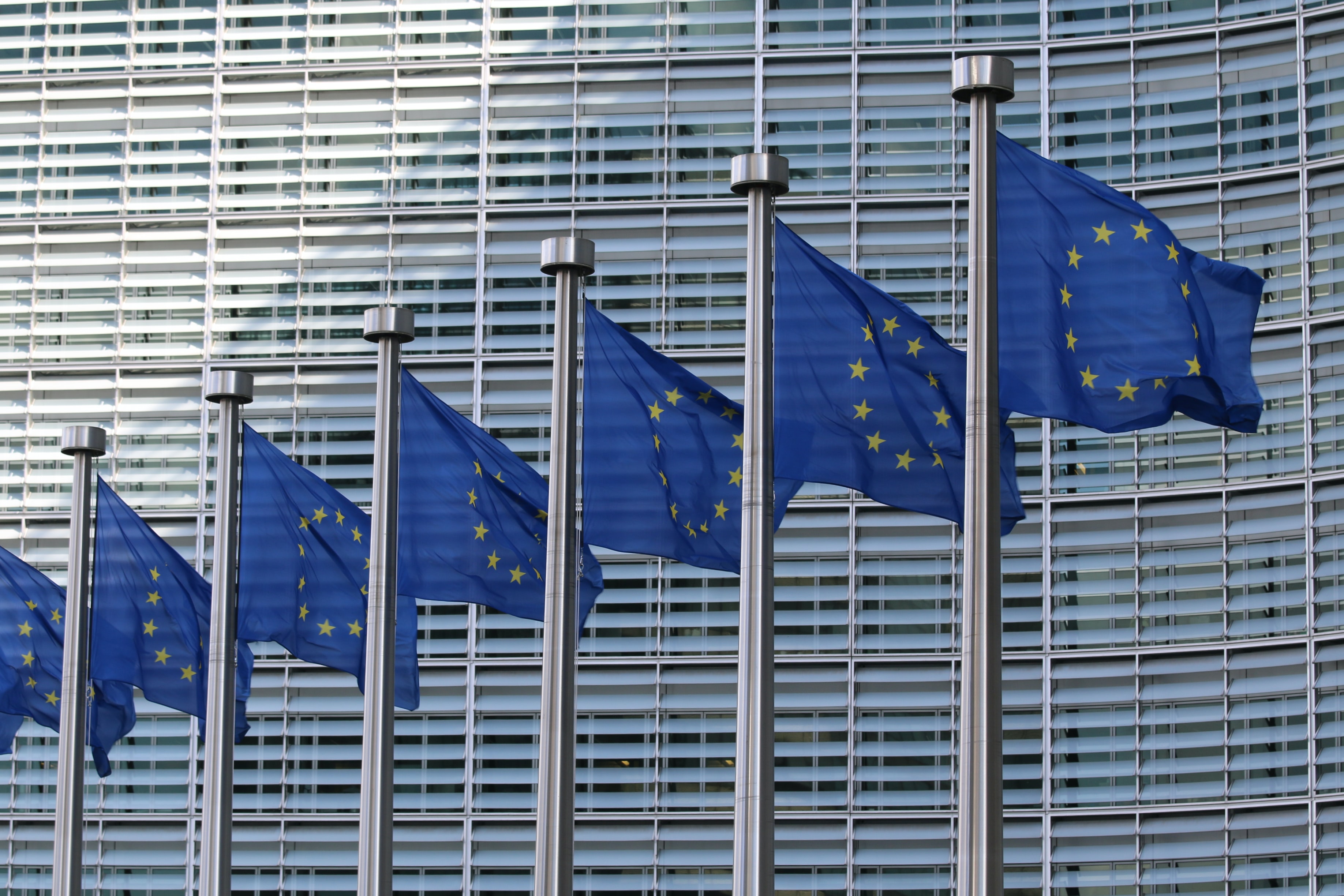 photographie de drapeaux européens