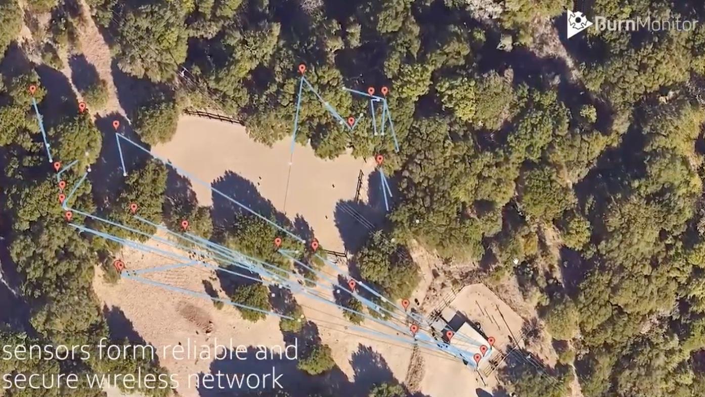 Vue aérienne d'une forêt, on y voit des capteurs qui forment un réseau sans fil fiable et sécurisé