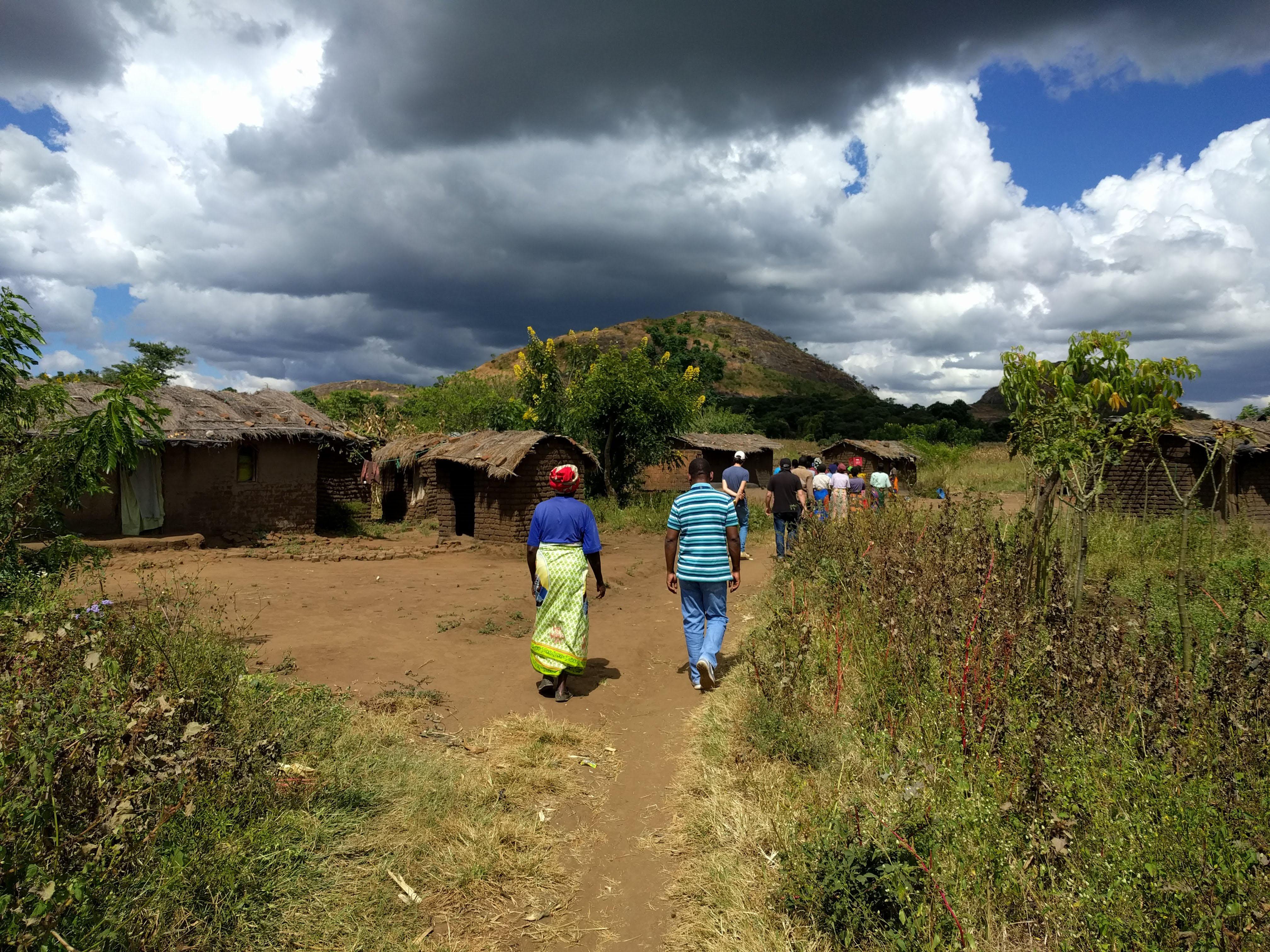 Agriculteurs du Malawi vu de dos près de leurs champs
