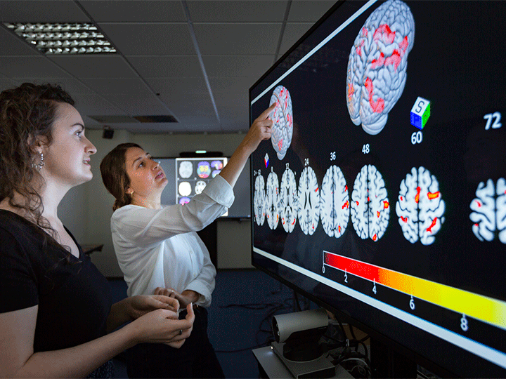Caroline Pinte et Agustina Fragueiro, de l'équipe Empenn, consultent des IRM fonctionnelle du cerveau. Sur ces images, l'IRM fonctionnelle permet de visualiser les zones du cerveau actives pendant une tâche de représentation spatiale (mesure par IRM)